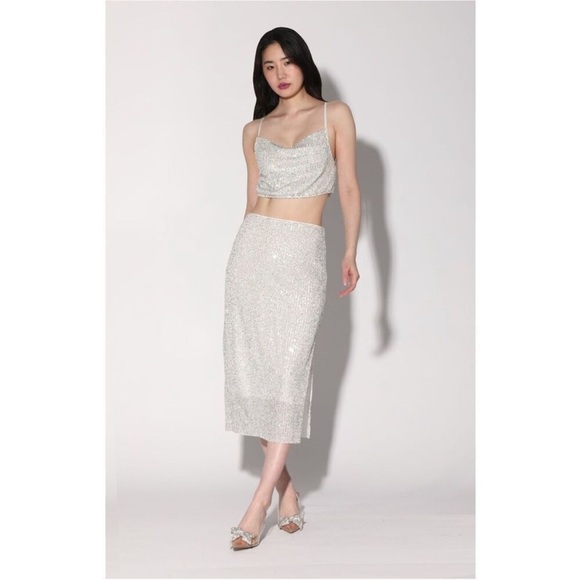 Walter Baker Crista  silver sequin midi skirt - Picture 1 of 11